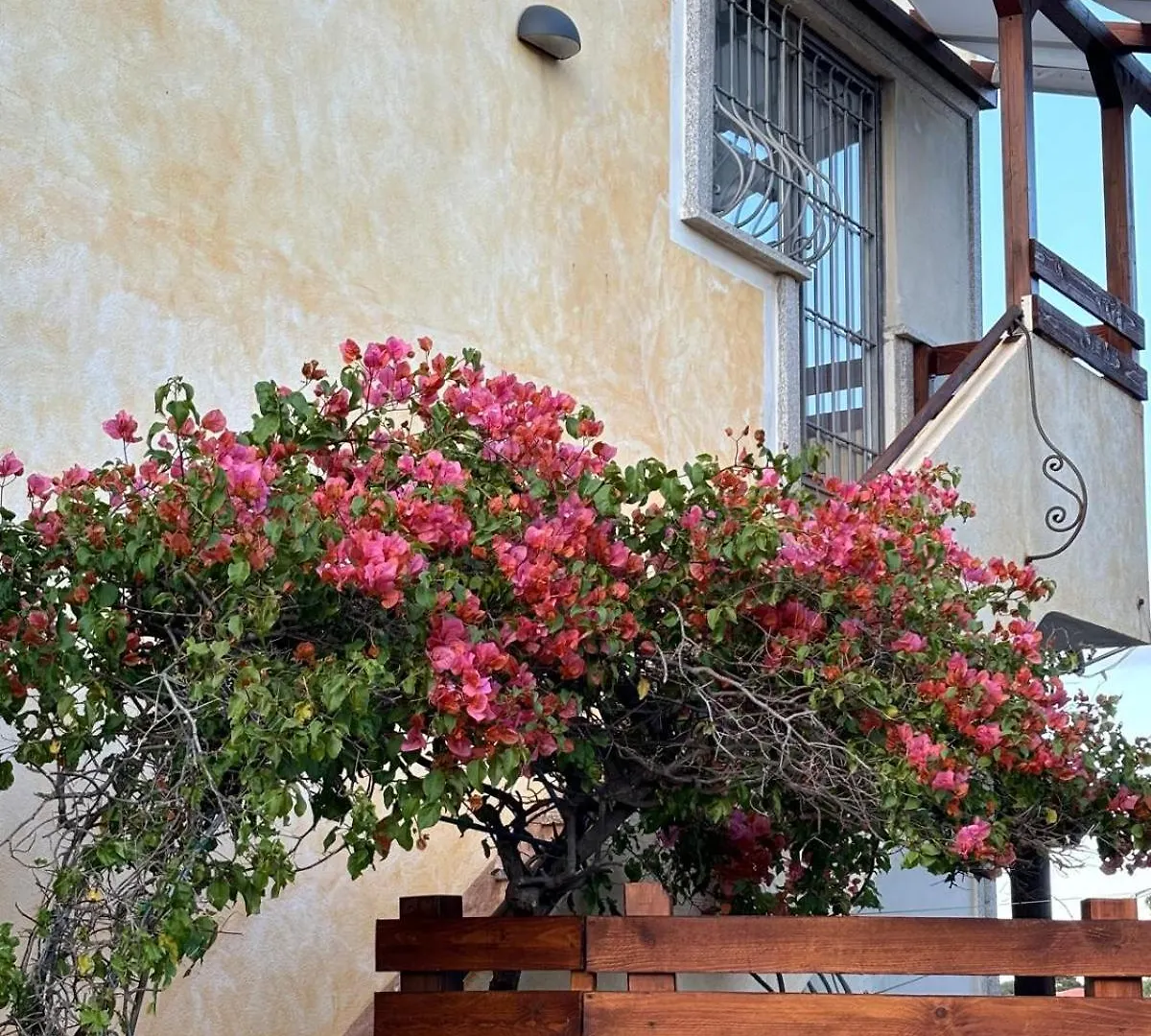 Sardegna Pittulongu Lejlighed Olbia